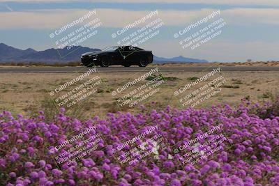 media/Jan-08-2023-SCCA SD (Sun) [[8f6a5b9391]]/Advanced Group/Session 2 (Short Straight)/